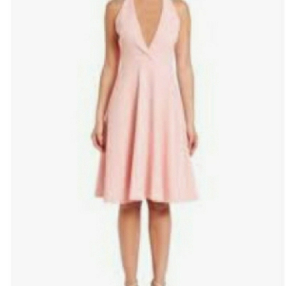 Halston Heritage Blush Deep V Dress